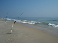 Assateague National Seashore, Near Salisbury, Maryland.